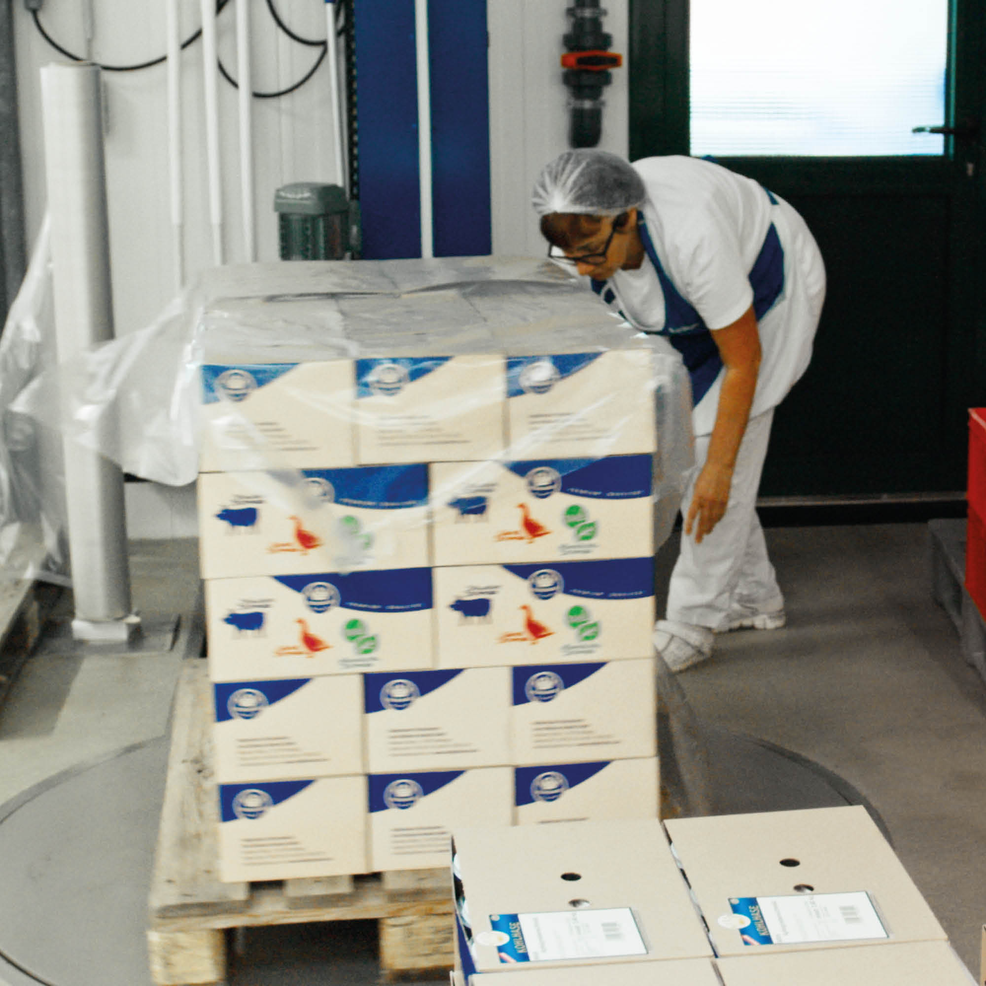 Karton Verpackungslösung