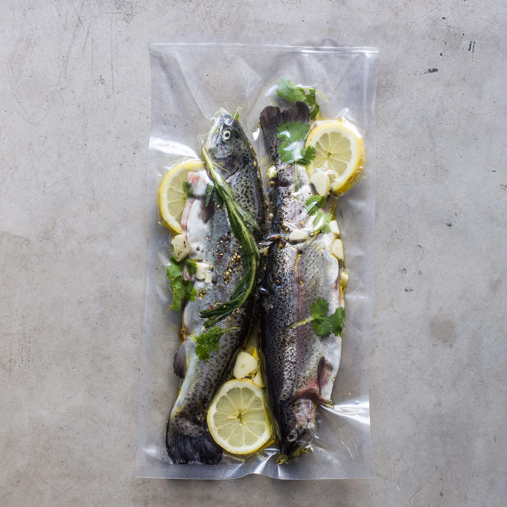 Fisch Vakuumiert